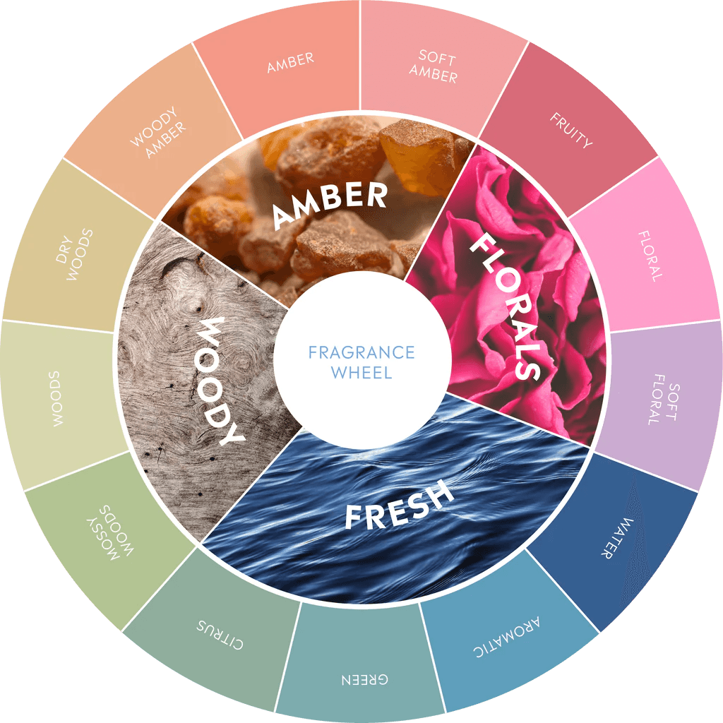 Fragrance Families: Which One is Right for You? - Perfumes Zag Zodiak