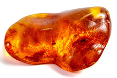 Amber Collection