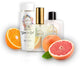 231 TE - inspired by - TERRE D'HERMES Bundle Perfume Dupe