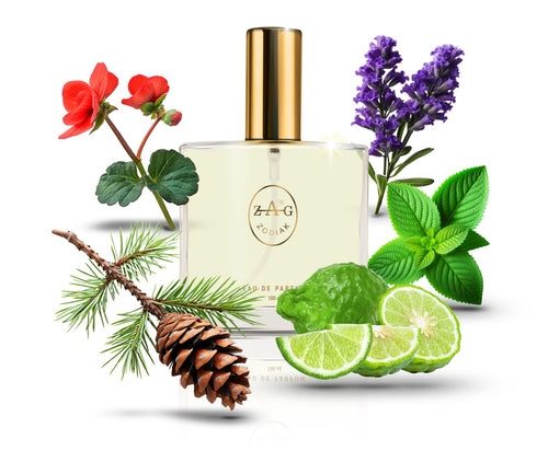 240 SD - inspired by - SAUVAGE 100ml Perfume Dupe