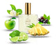 251 AV Perfume 100ml Perfume Dupe
