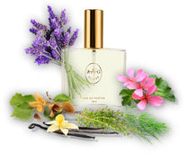 255 AN Perfume 100ml Perfume Dupe