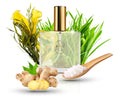 ZAG Zodiak 280 SI Eau de Parfum 100ml