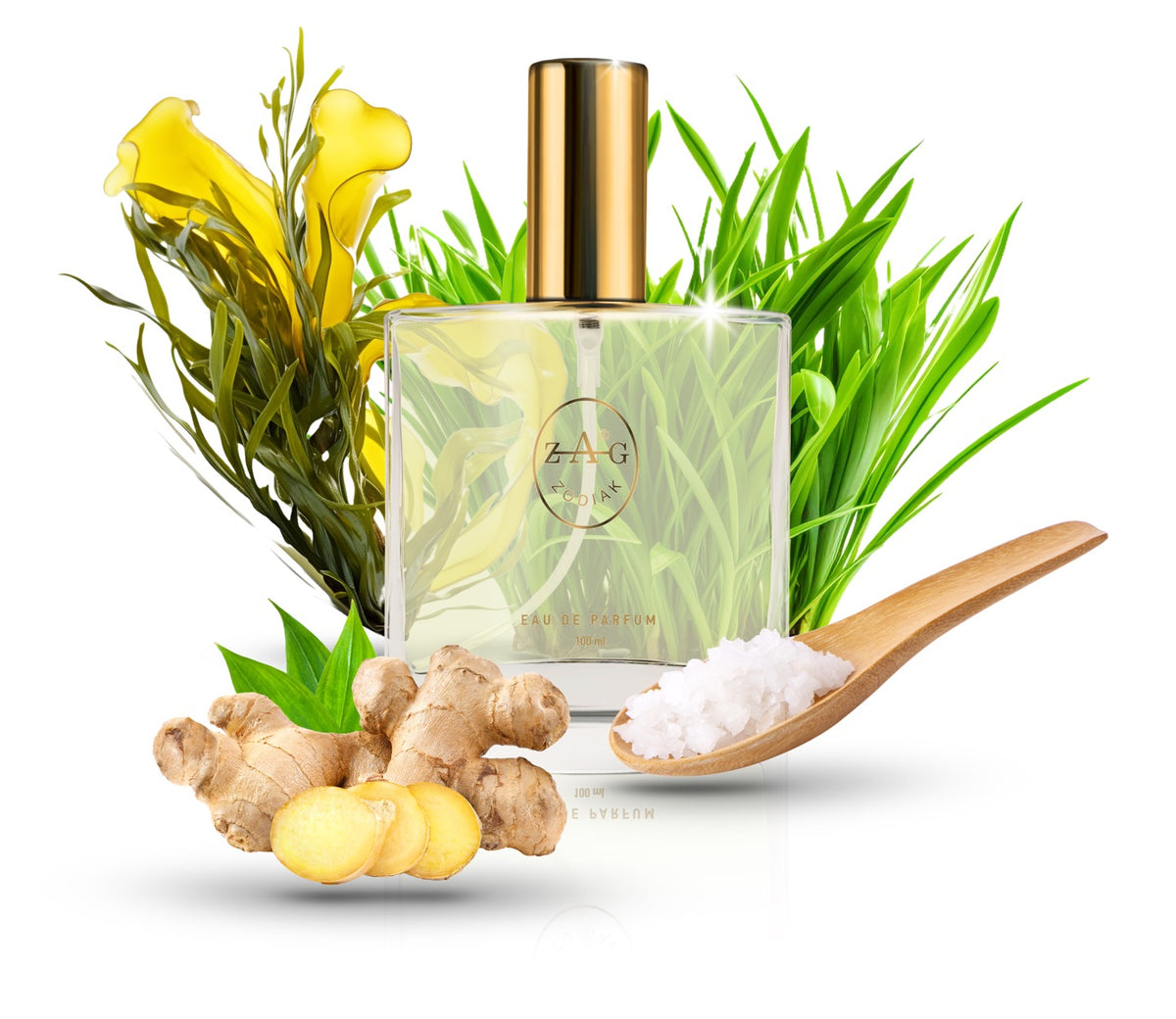 ZAG Zodiak 280 SI Eau de Parfum 100ml
