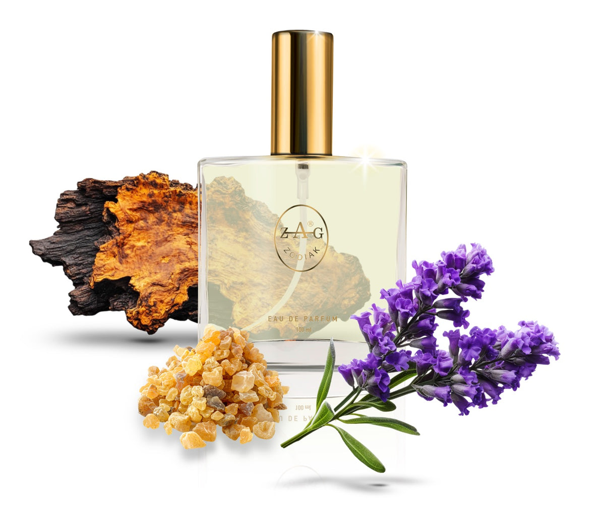 ZAG Zodiak 281 SD Eau de Parfum 100ml