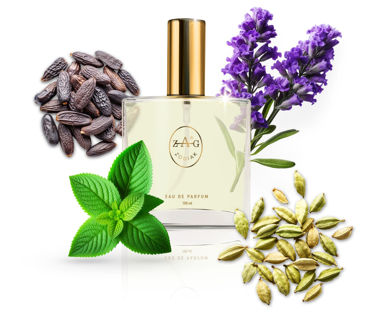 ZAG Zodiak 282 VE Eau de Parfum 100ml