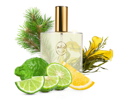 435 OP - inspired by - ORTO PARISI 100ml Perfume Dupe