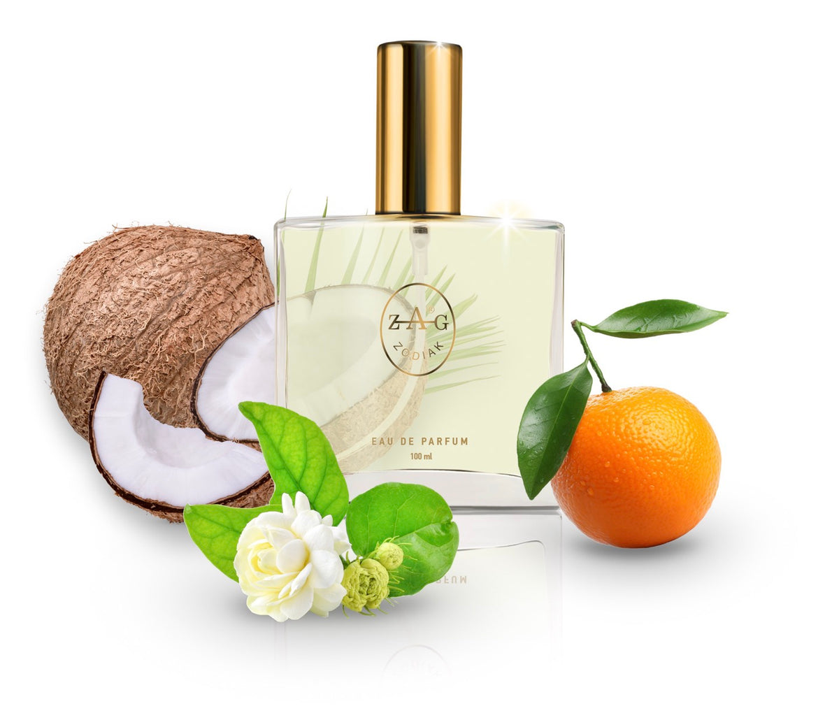 436 VW Perfume 100ml Perfume Dupe