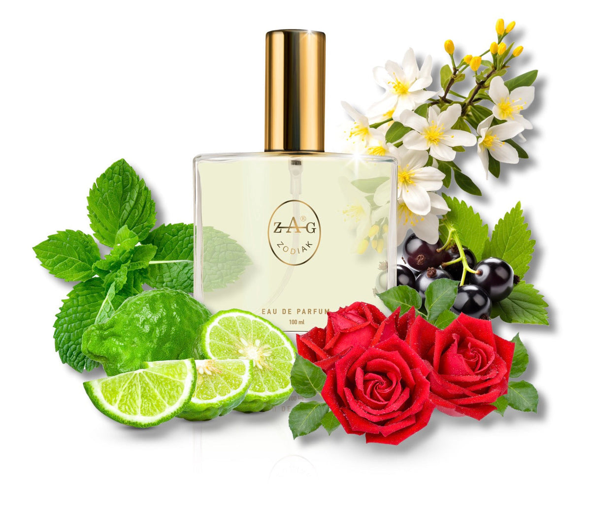 445 AC Perfume 100ml Perfume Dupe