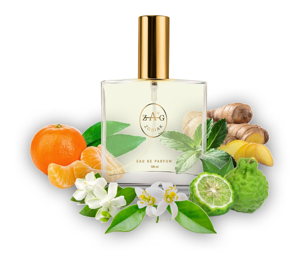 548 VV Perfume 100ml Perfume Dupe