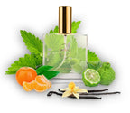 571 LA Perfume 100ml Perfume Dupe