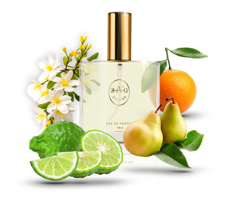 ZAG Zodiak 582 PX Eau de Parfum 100ml - Inspired by Paradox