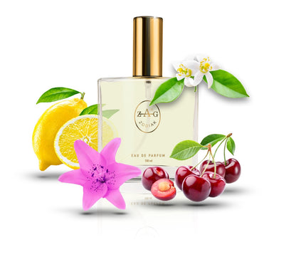 586 DQ - inspired by - Q 100ml Perfume Dupe