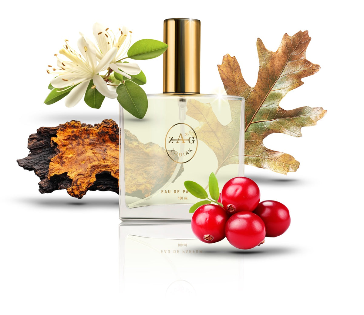 595 BA - inspired by - BARENIA 100ml Perfume Dupe