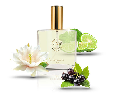 597 BR Perfume 100ml Perfume Dupe