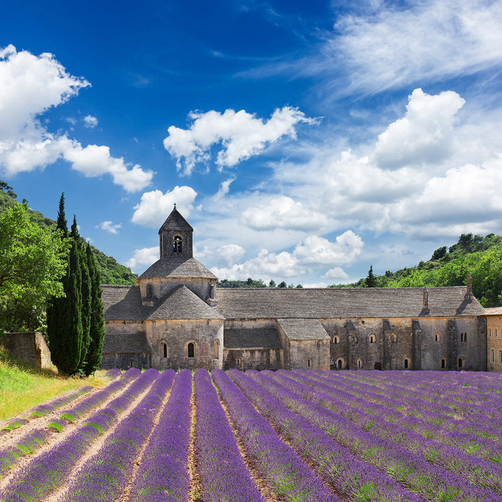 perfumes sourced from grasse france 