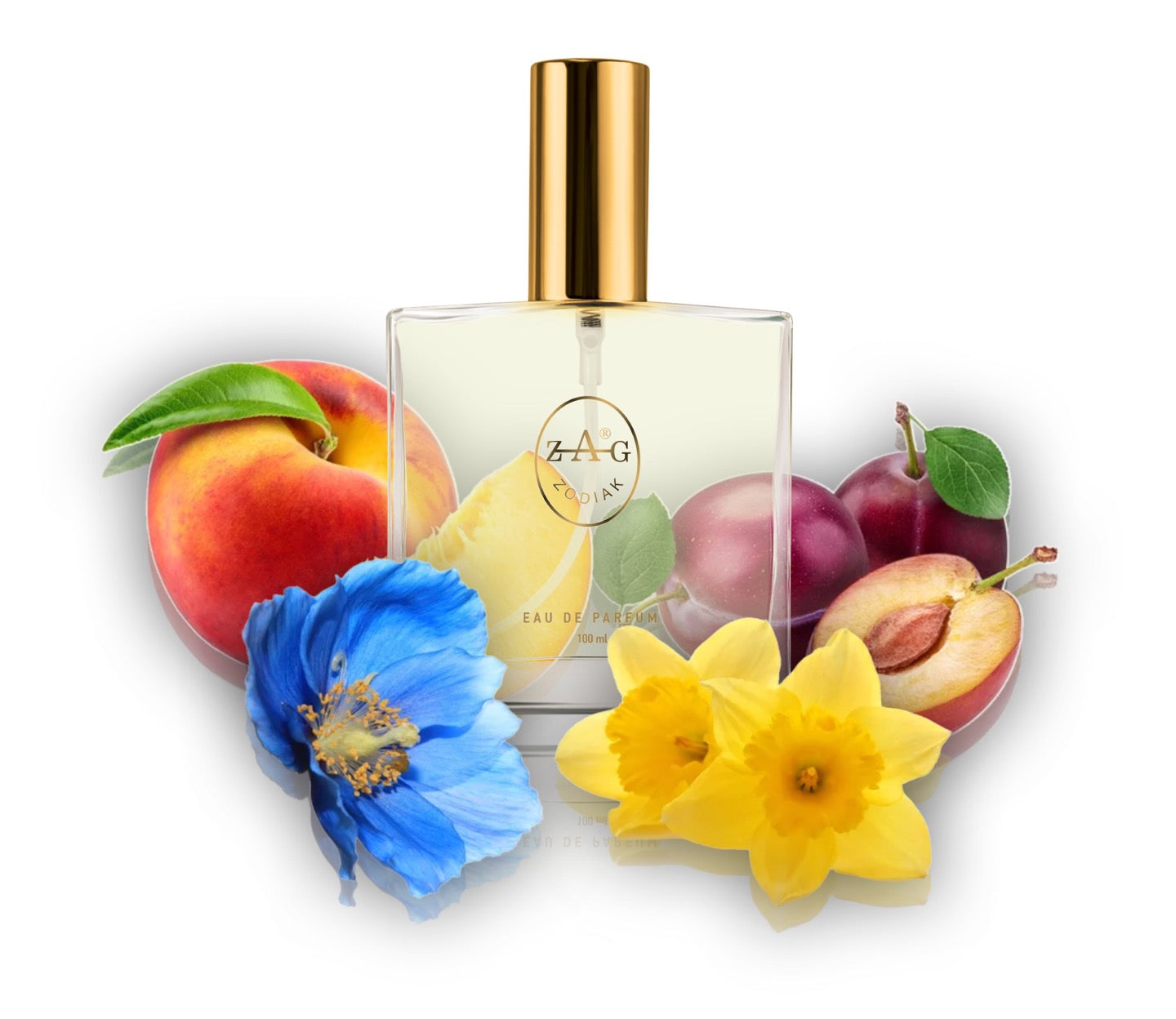 014 PE - inspired by - POEME 100ml Perfume Dupe