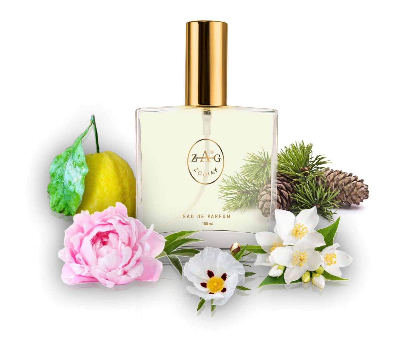 097 AG - inspired by - ACQUA DI GIOIA 100ml Perfume Dupe