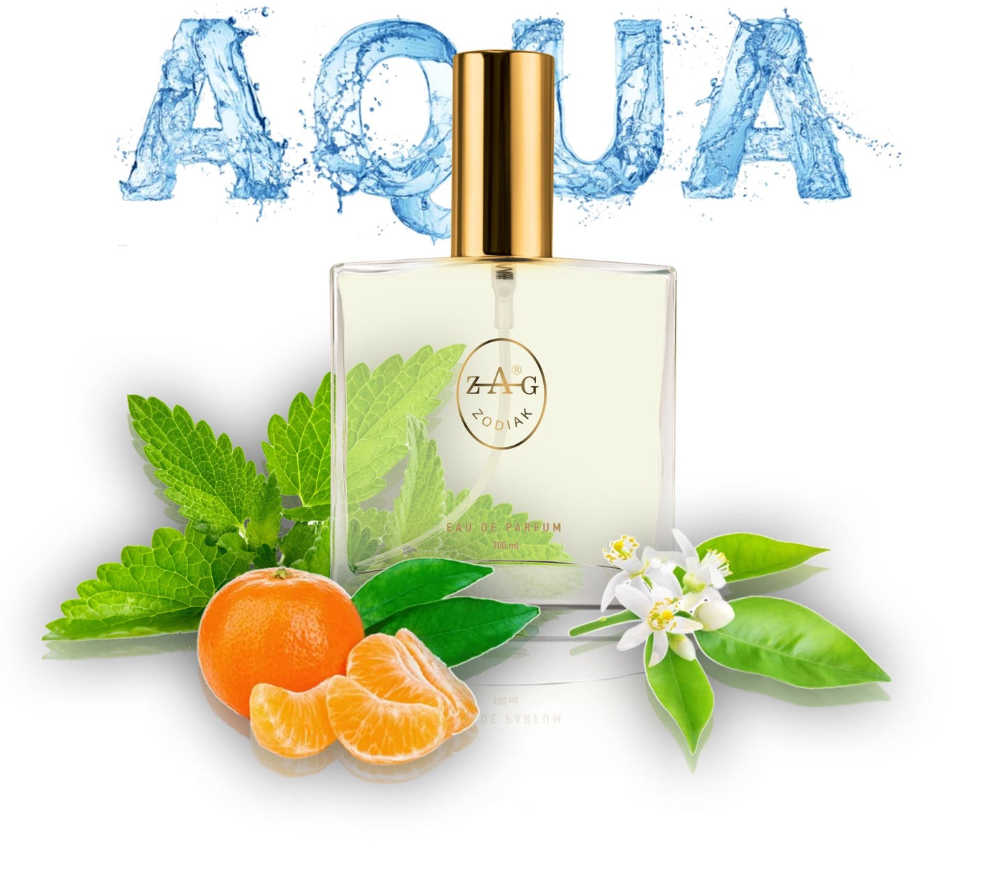 230 AM - inspired by - AQVA AMARA 100ml Perfume Dupe