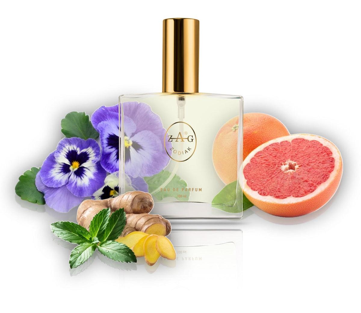 237 CH Perfume 100ml Perfume Dupe