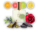 239 MC Perfume 100ml Perfume Dupe