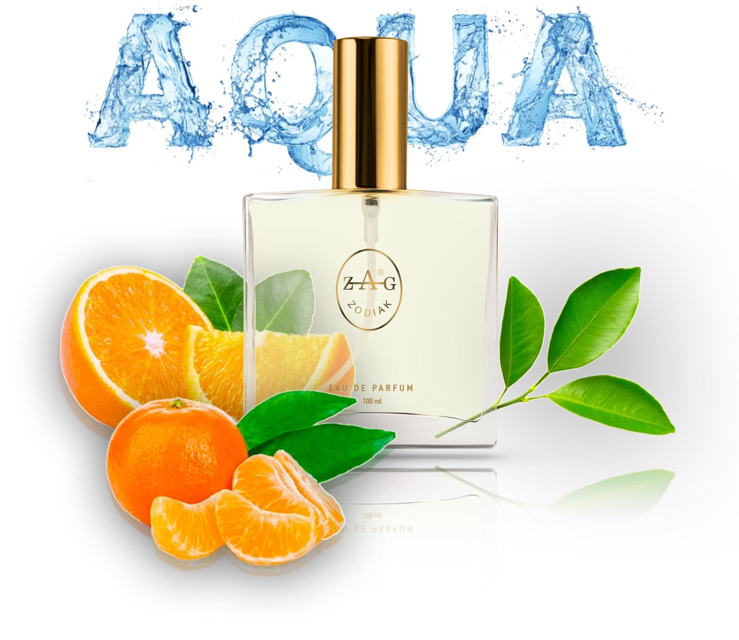 242 AQ - inspired by - AQUA POUR HOMME 100ml Perfume Dupe