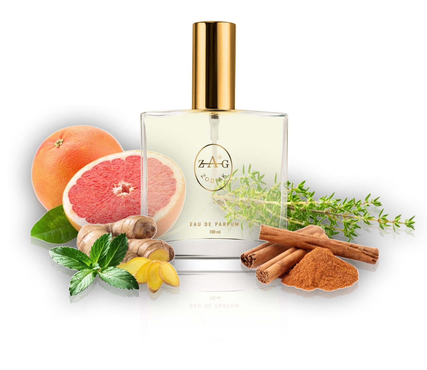 252 PX - inspired by - PURE XS 100ml Perfume Dupe