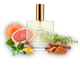 252 PX Perfume 100ml Perfume Dupe