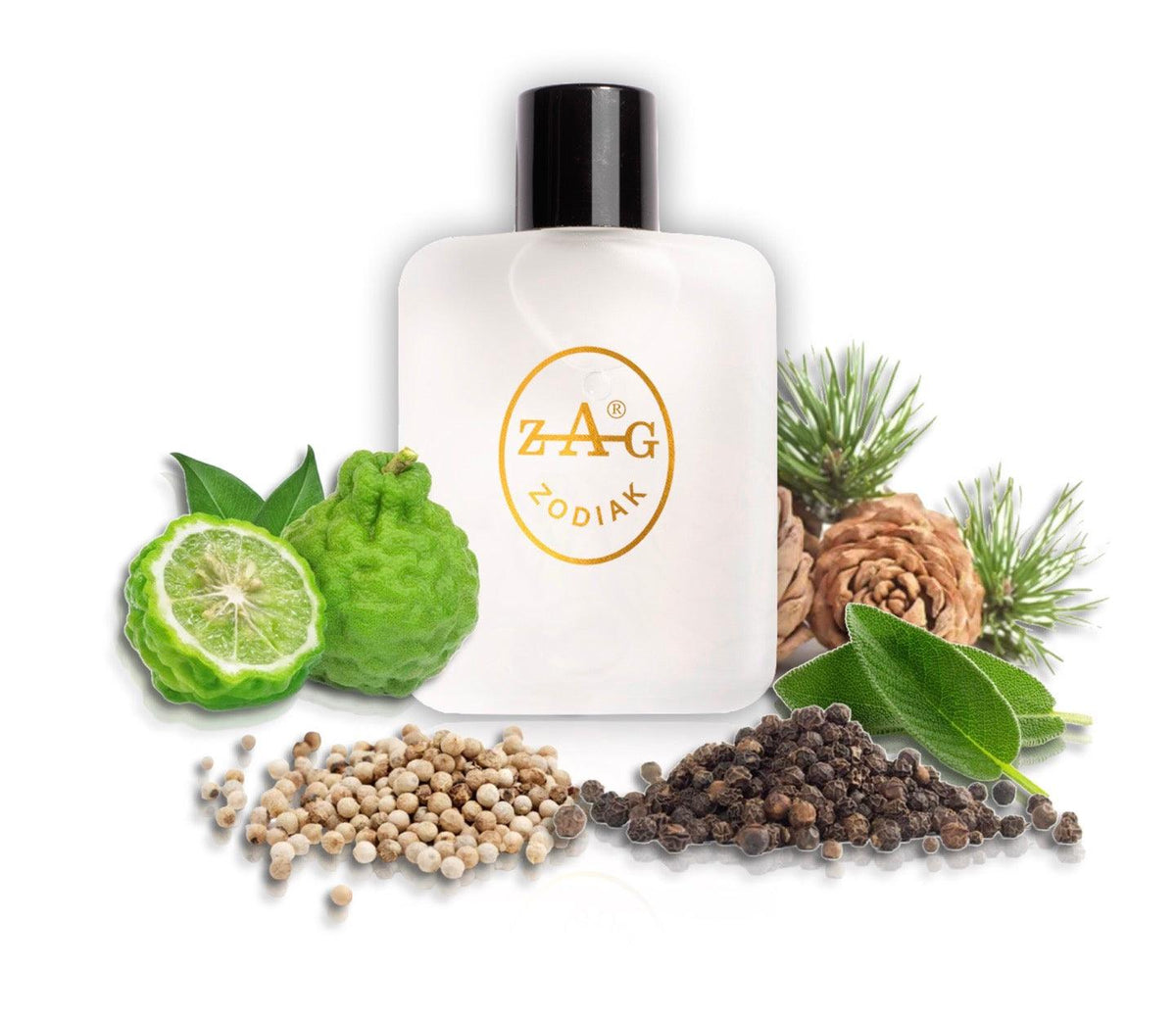 260 BB - AFTERSHAVE Perfume Dupe