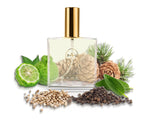 260 BB Perfume 100ml Perfume Dupe