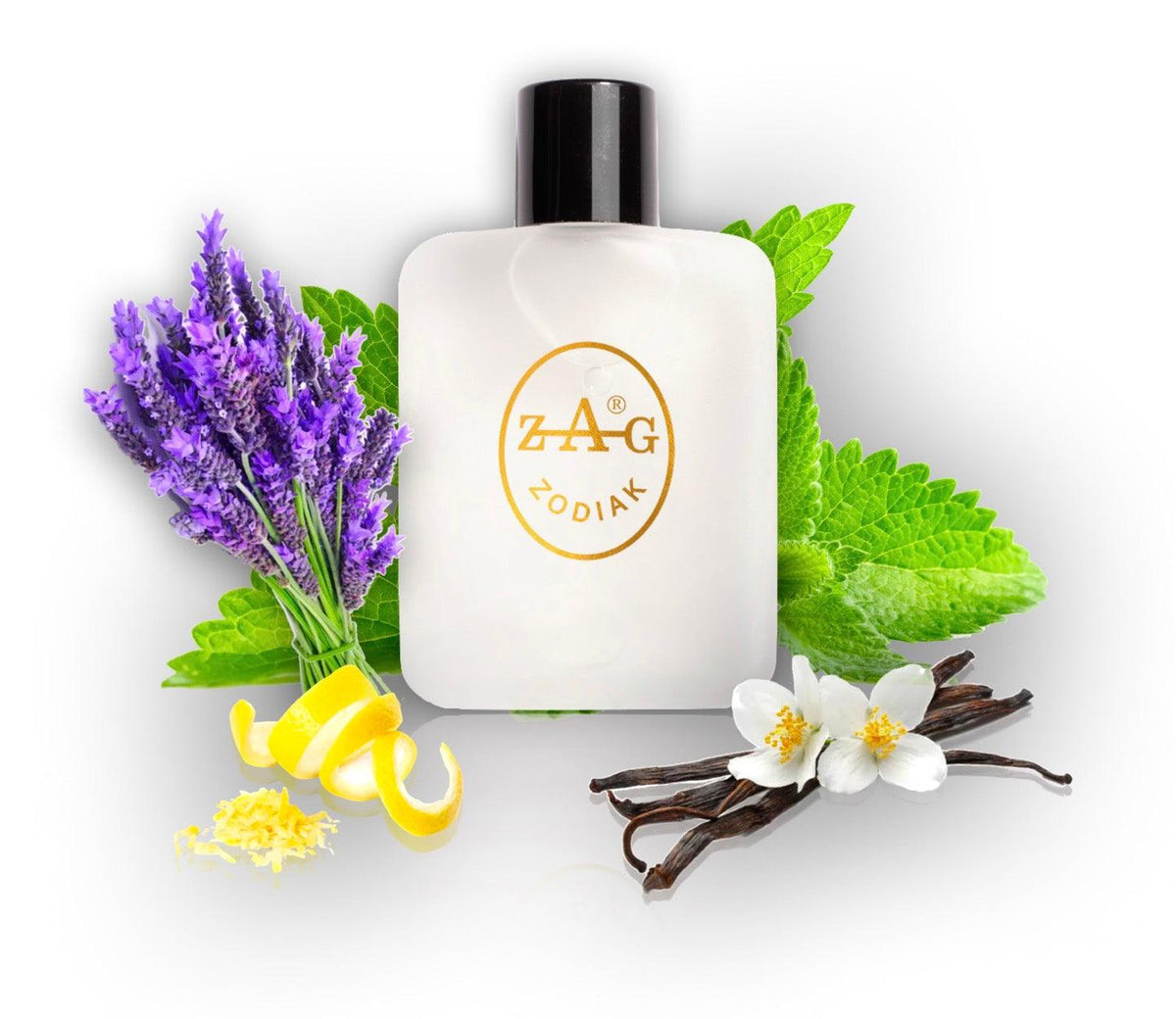 269 PH - AFTERSHAVE Perfume Dupe