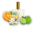 ZAG Zodiak 30 PP