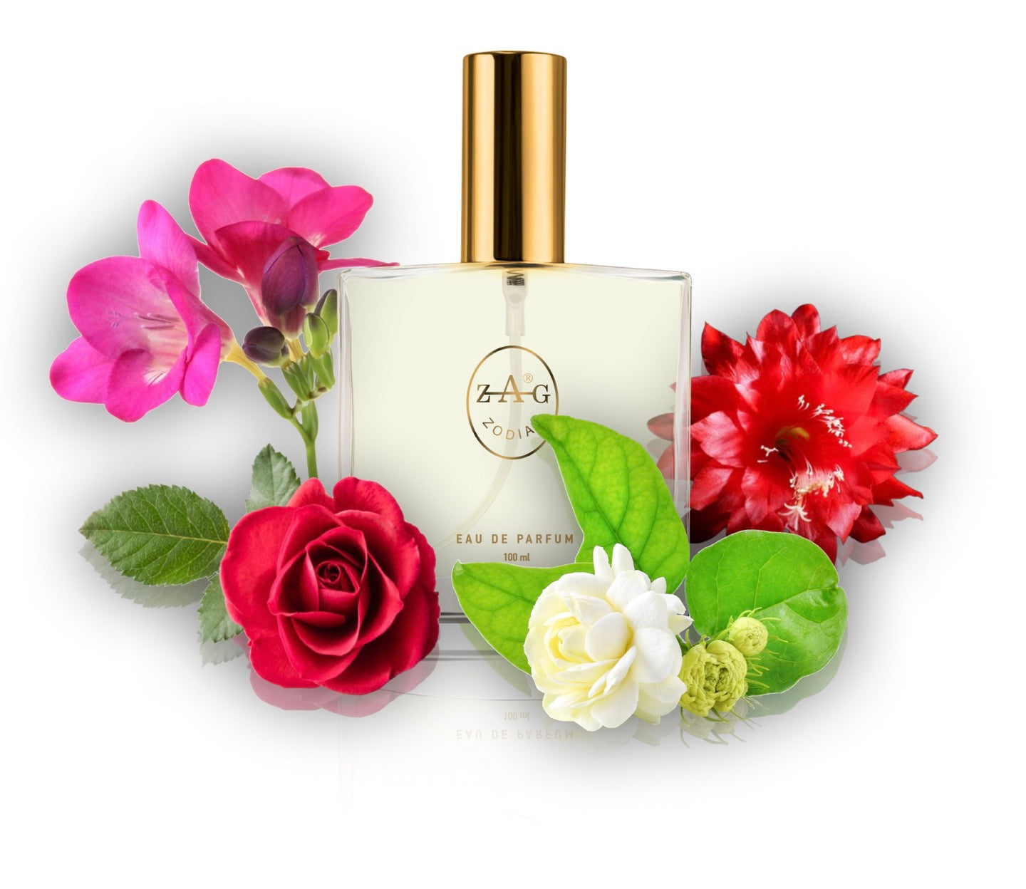 357 MV - inspired by - MA VIE 100ml Perfume Dupe