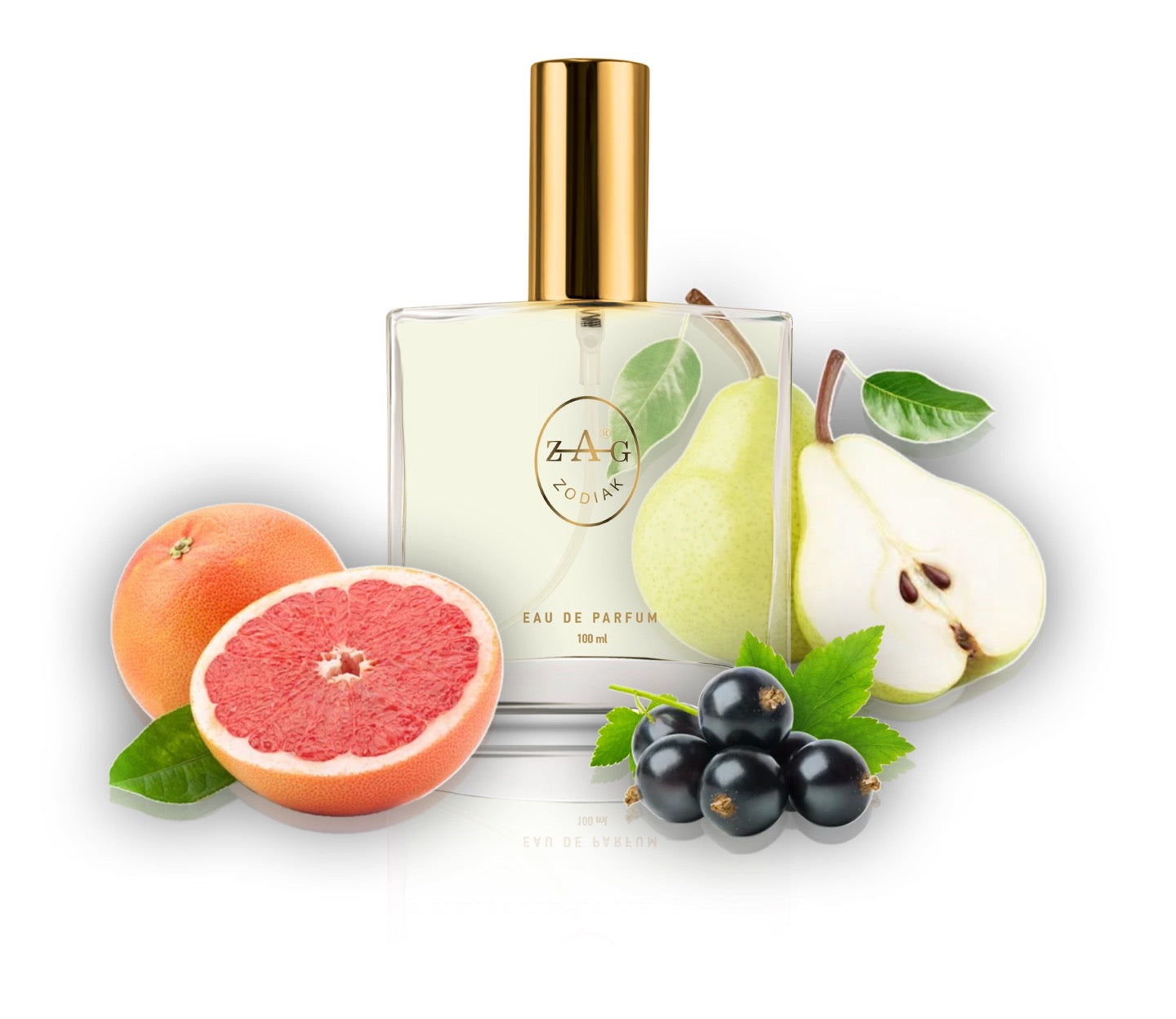 385 SP - inspired by - SI PASSIONE 100ml Perfume Dupe