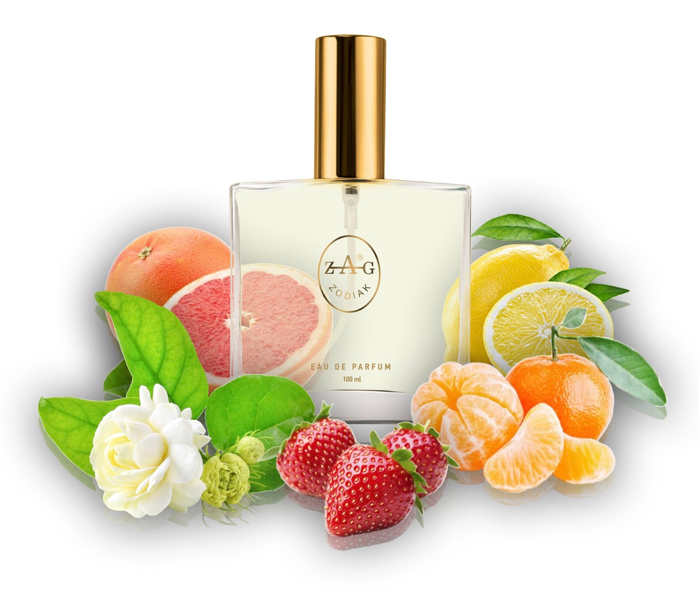 391 QU - inspired by - QUATRE 100ml Perfume Dupe