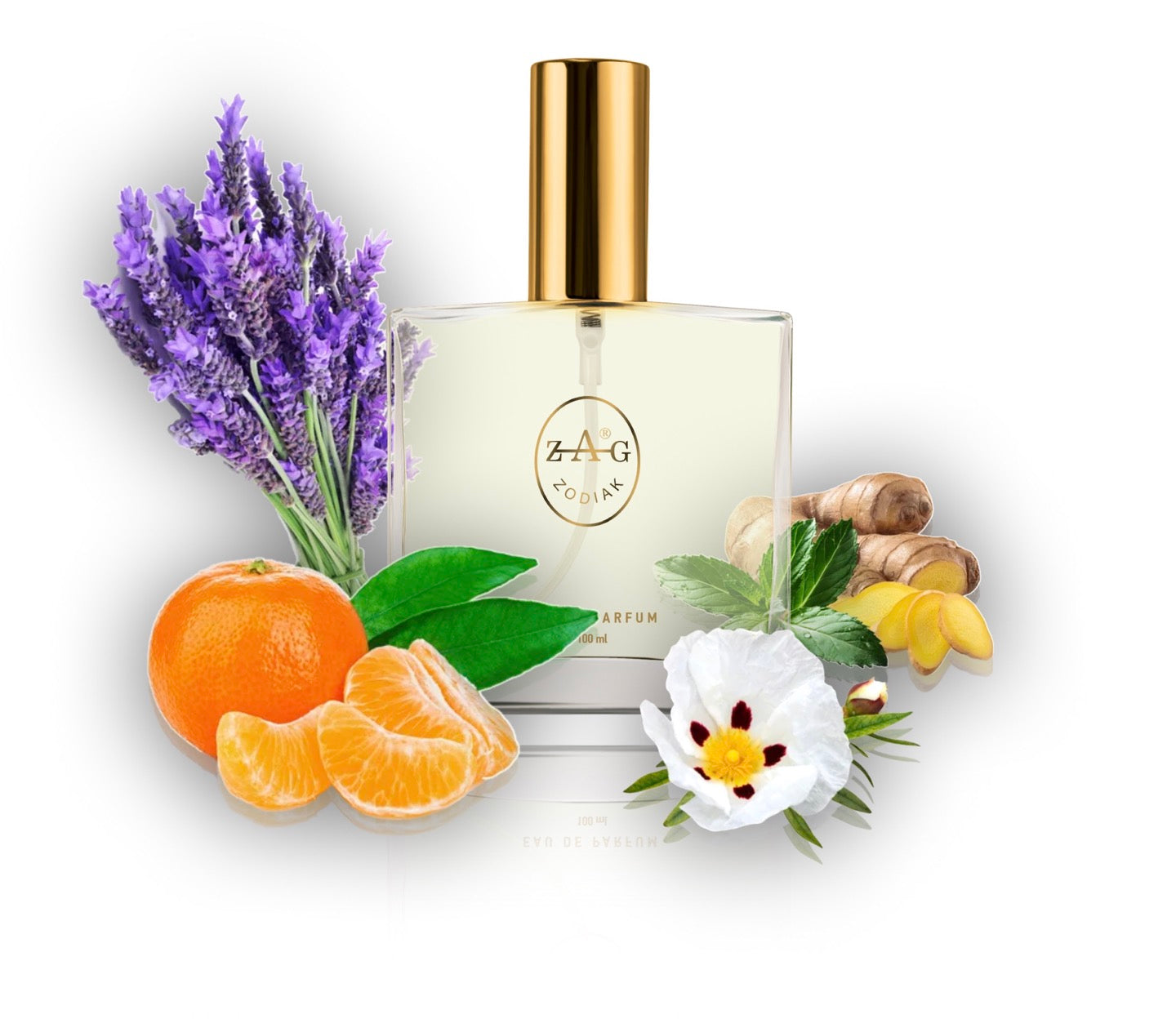 420 FA - inspired by - FOUGERE D'ARGENT 100ml Perfume Dupe