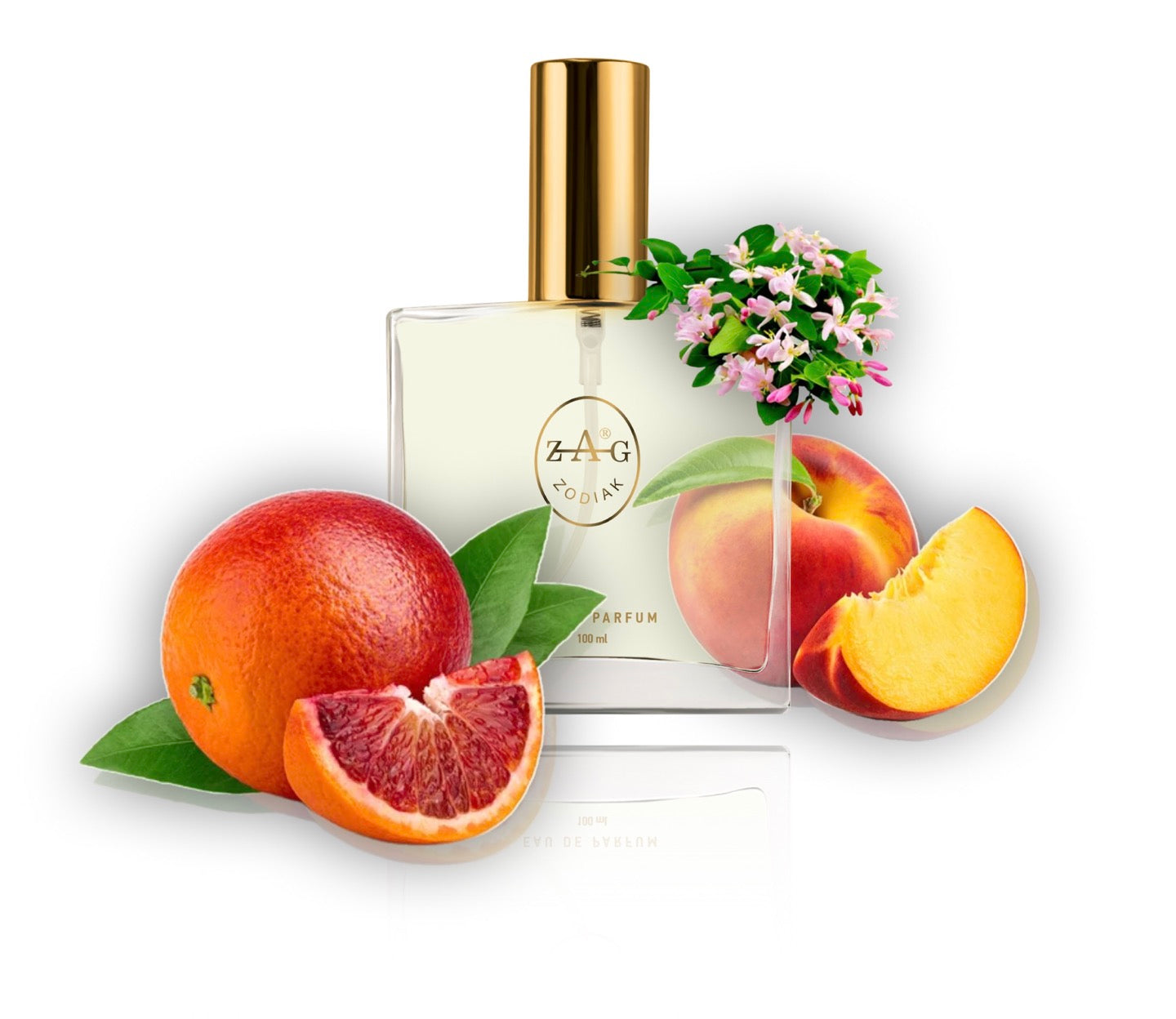 48 AL - ENCHANTING CHARM 100ml Perfume Dupe