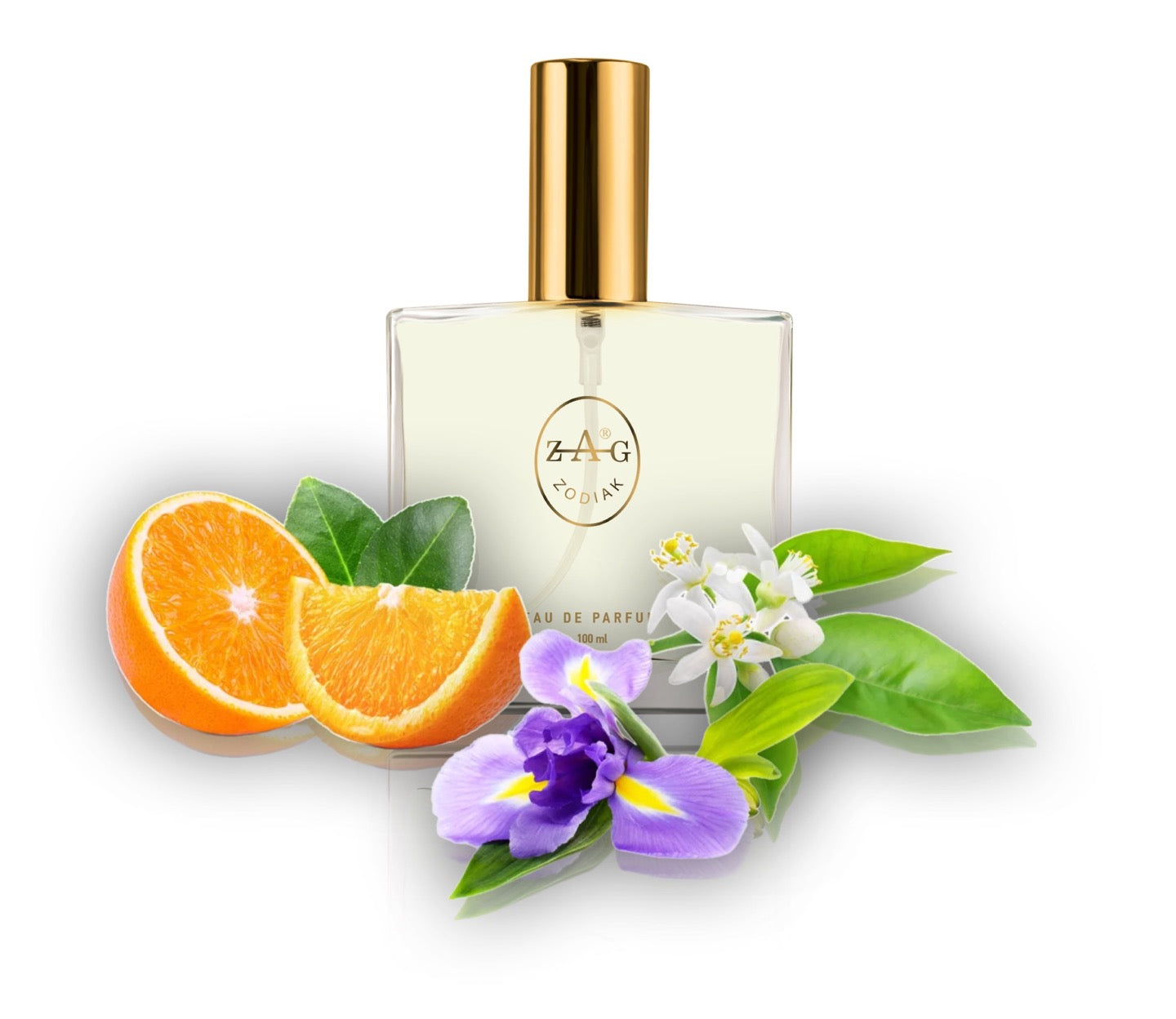 505 IN - inspired by - INFUSION D'ÍRIS 100ml Perfume Dupe