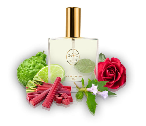 512 RR Perfume 100ml Perfume Dupe