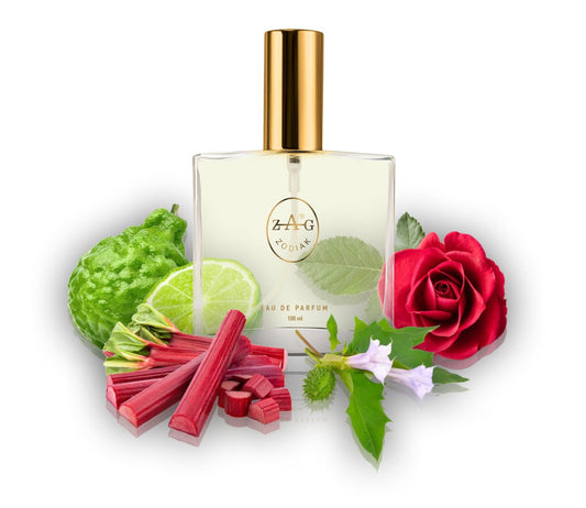 512 RR - inspired by - RICCI RICCI 100ml Perfume Dupe