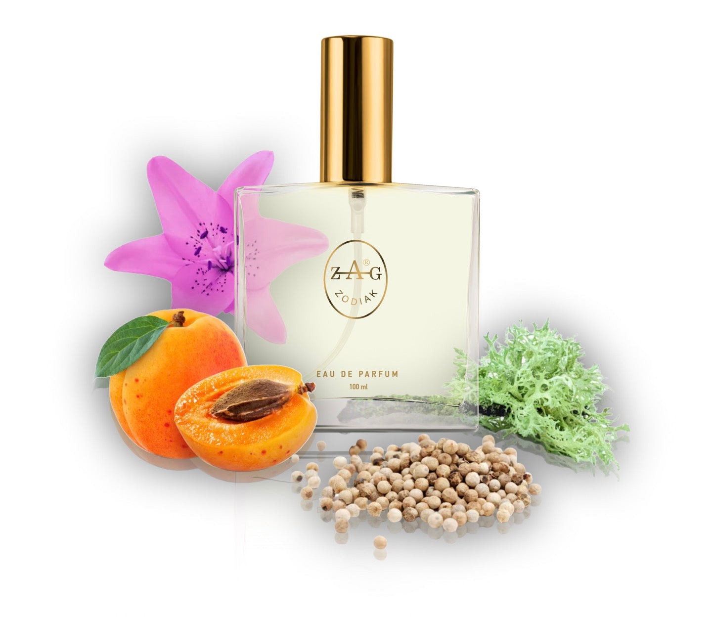 534 SB - inspired by - SILK BLOSSOM 100ml Perfume Dupe