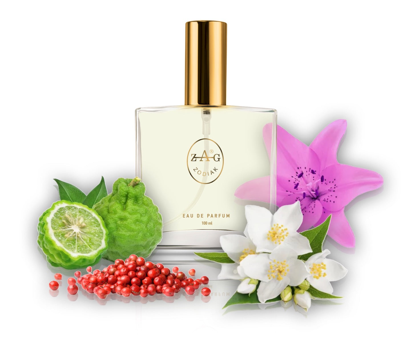 540 WO - inspired by - WONDERLUST 100ml Perfume Dupe