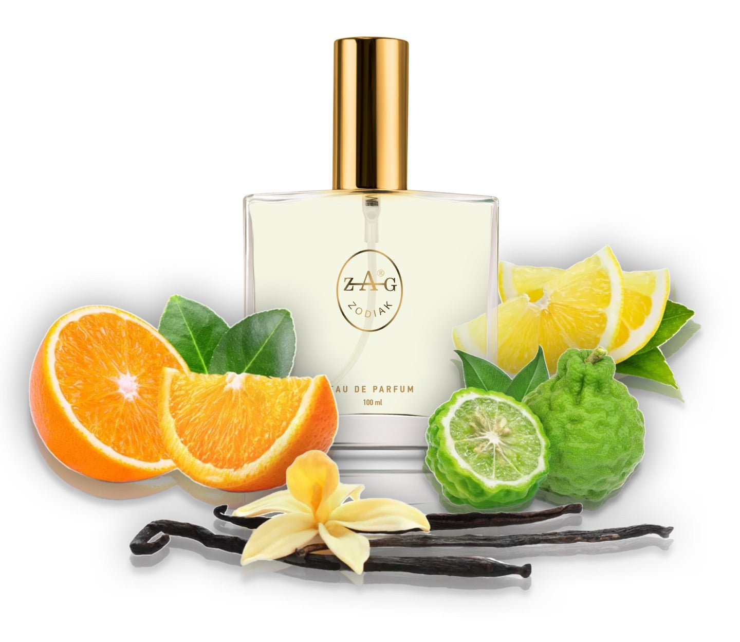 551 EP - inspired by - ERBA PURA 100ml Perfume Dupe