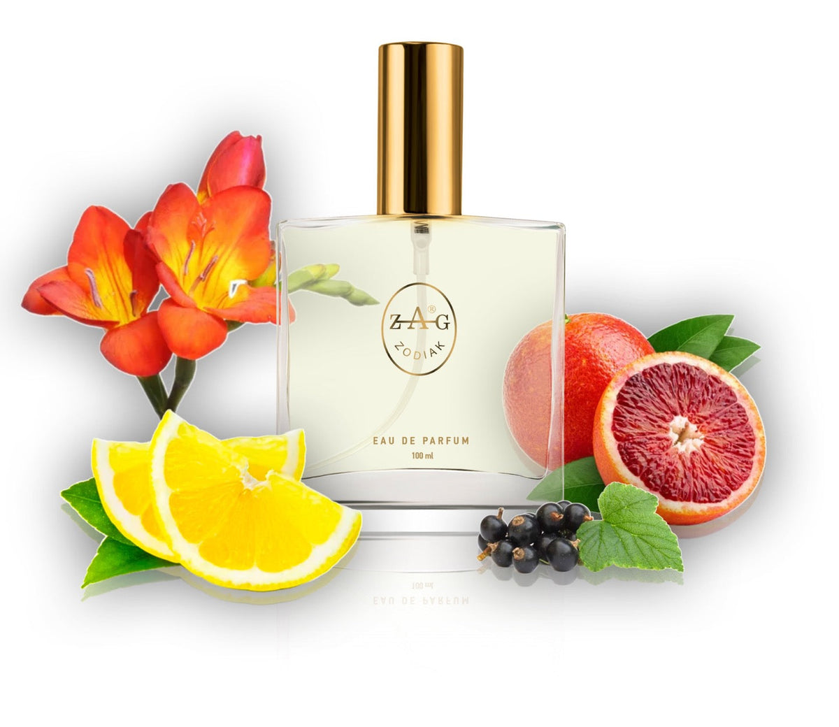 555 DT Perfume 100ml Perfume Dupe
