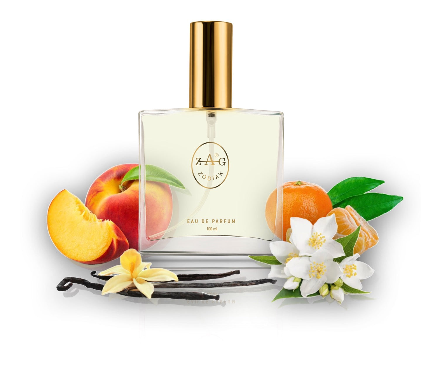 556 CH - inspired by - I WANT CHOO 100ml Perfume Dupe