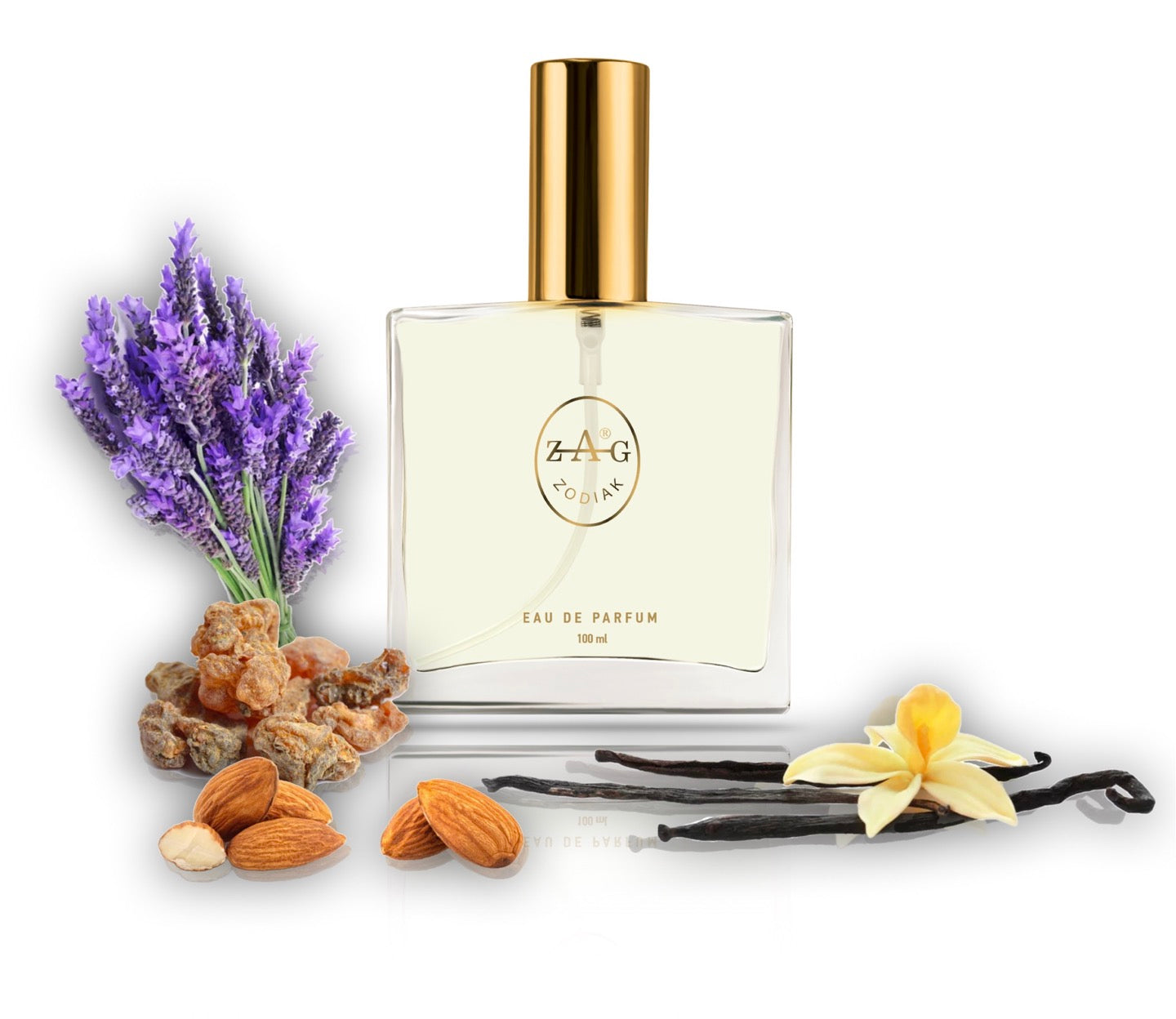 561 MT - inspired by - MYRRH & TONKA 100ml Perfume Dupe