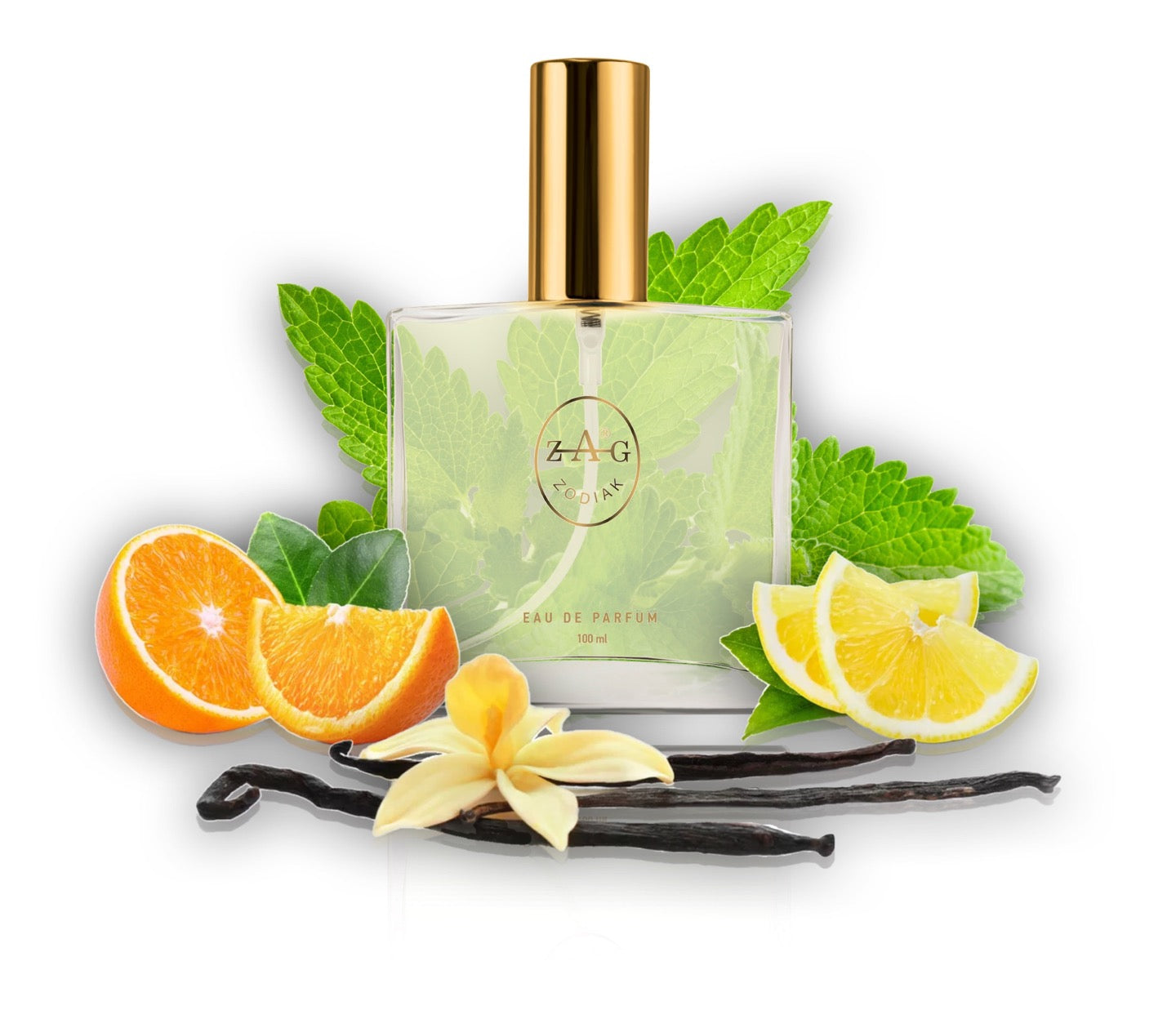 574 DV - inspired by - VANILLA DIORAMA 100ml Perfume Dupe